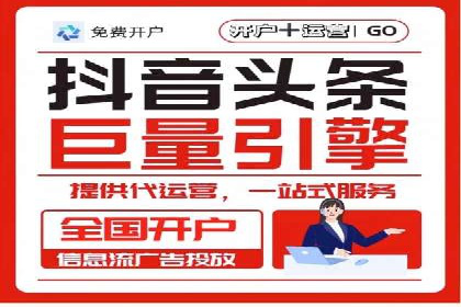 某知名企业SEM营销全案解析